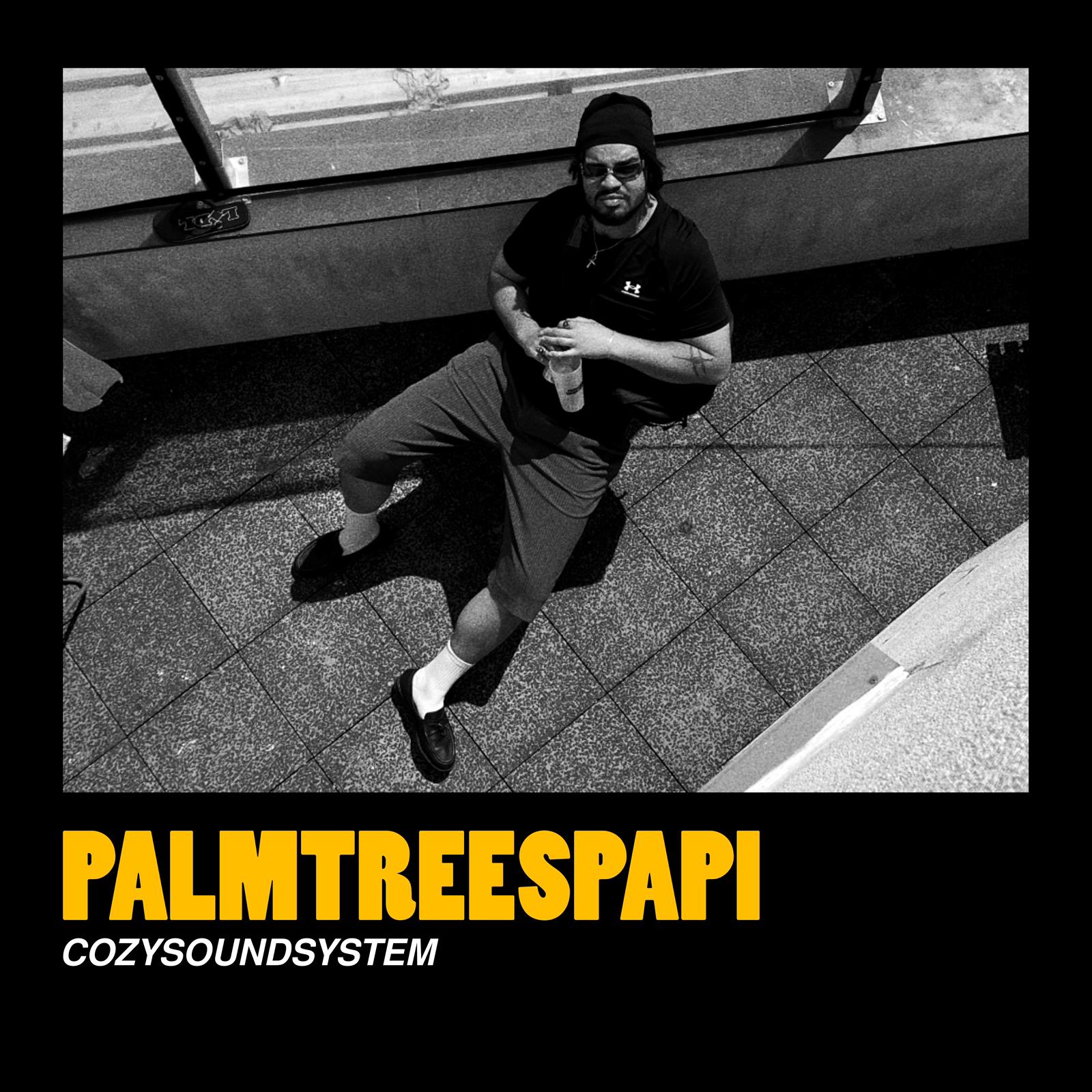 PALMTREESPAPI